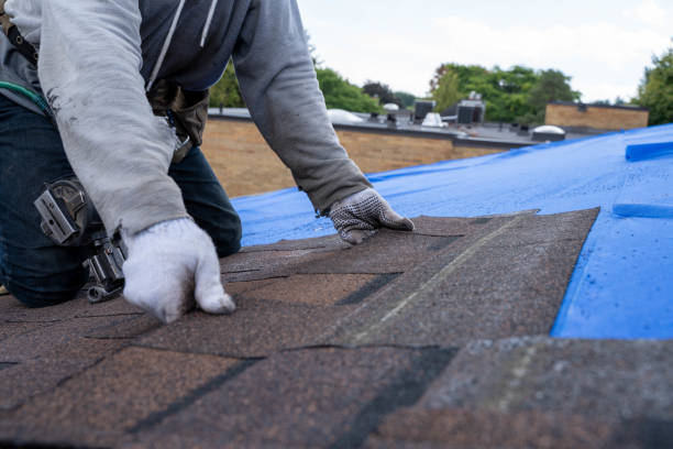 Best Storm Damage Roof Repair  in Titusville, FL